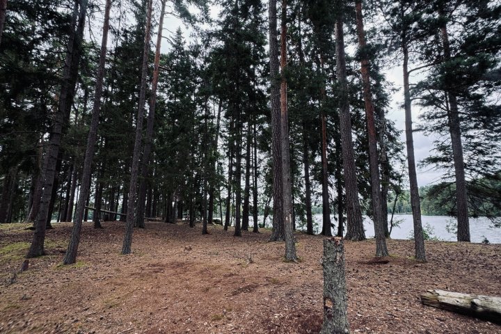 Scandtrack Kanutour Schweden image00012