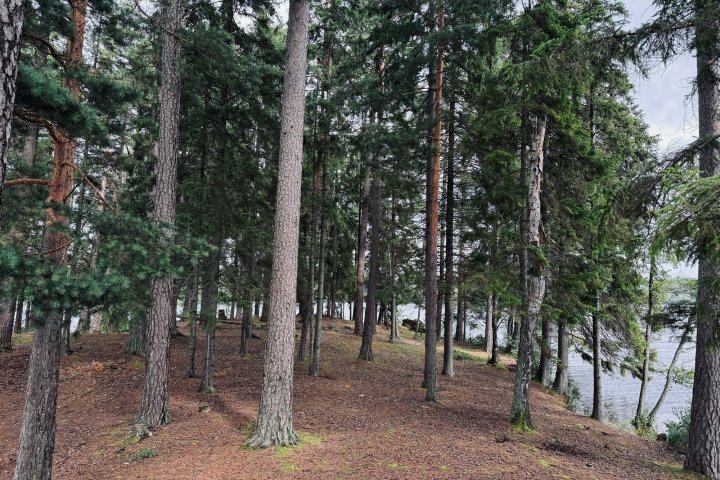 Scandtrack Kanutour Schweden image00019