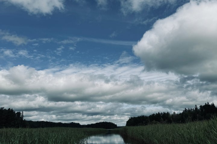 Scandtrack Kanutour Schweden image00044