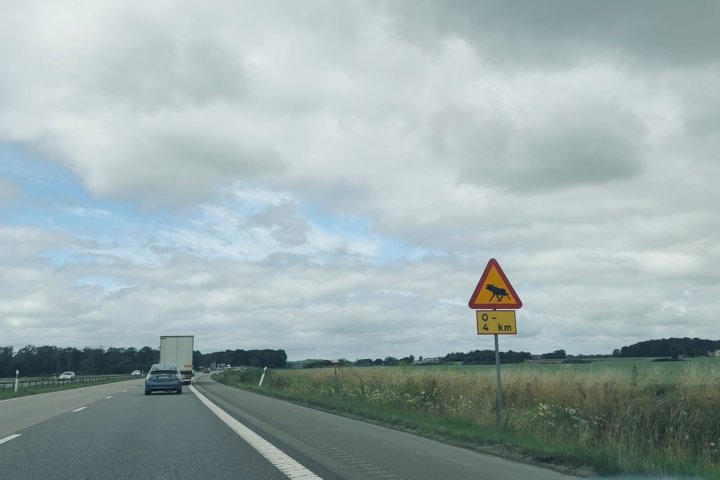 Scandtrack Kanutour Schweden image00068