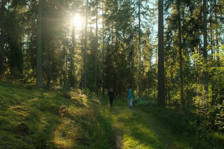 Scandtrack Kanutour Schweden DSCF2323