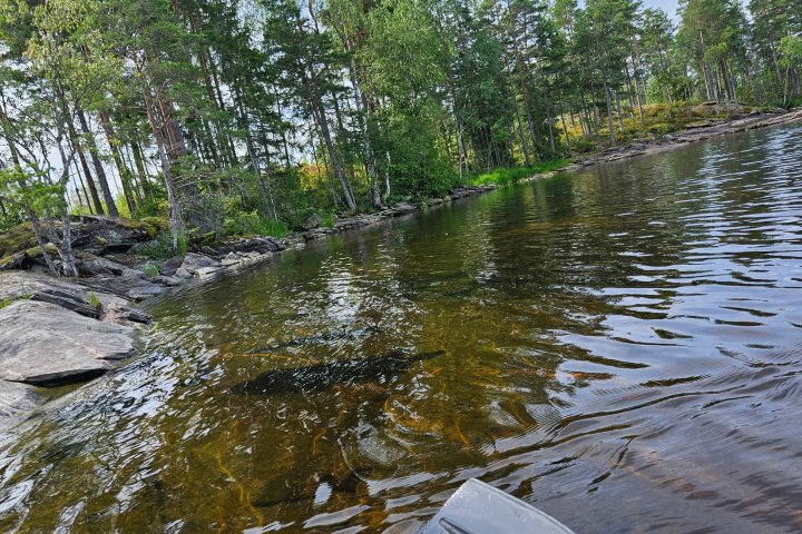 Scandtrack Kanutour Schweden 20240803113232