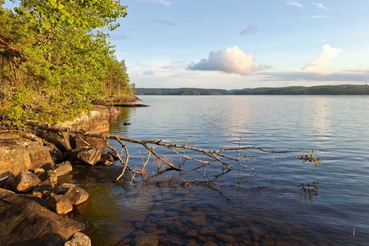 Scandtrack Kanutour Schweden 20240804201005