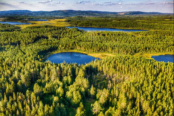 Scandtrack Kanutour Schweden DJI0103-02