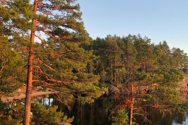 Scandtrack Kanutour Schweden IMG3778