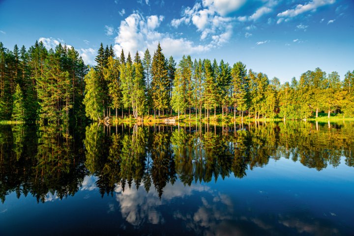 Scandtrack Kanutour Schweden 3H5A2867