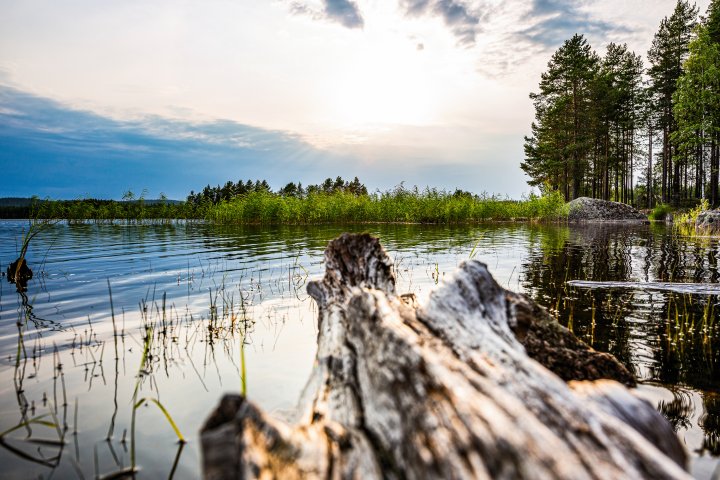 Scandtrack Kanutour Schweden 3H5A3288