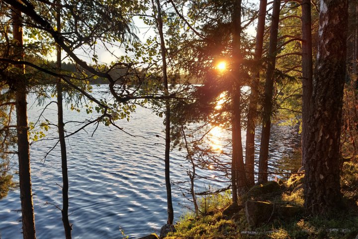 Scandtrack Kanutour Schweden 20240714213709