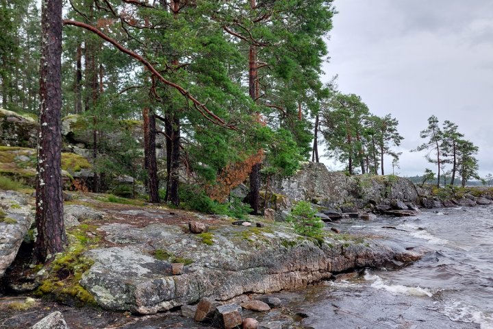 Scandtrack Kanutour Schweden 20240717202810
