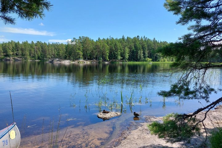 Scandtrack Kanutour Schweden 20240719135434