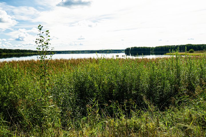 Scandtrack Kanutour Schweden DSC6827
