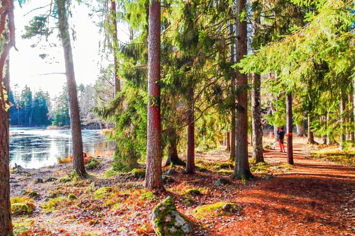 Scandtrack Kanutour Schweden c5c8f7a0c27f582e3bddaa39c089cad63f9a1fa08fa9ab83