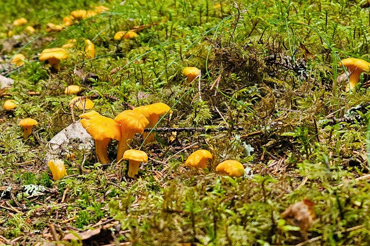 Scandtrack Kanutour Schweden 20240714170602