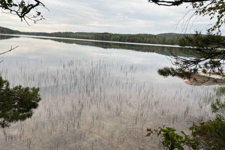 Scandtrack Kanutour Schweden image008