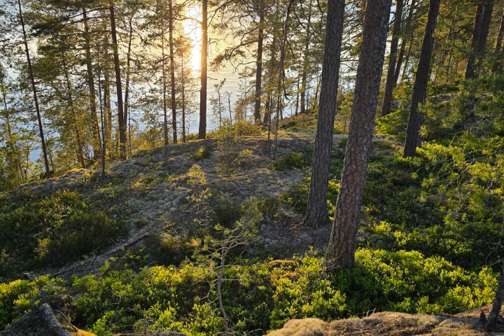Scandtrack Kanutour Schweden 20240522205419
