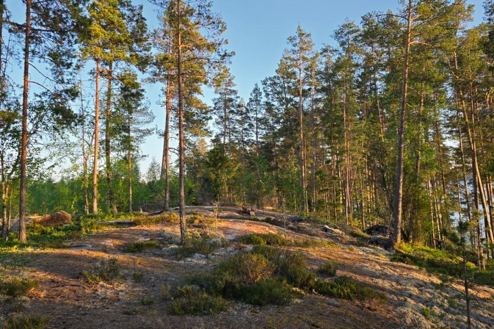 Scandtrack Kanutour Schweden 20240522205437