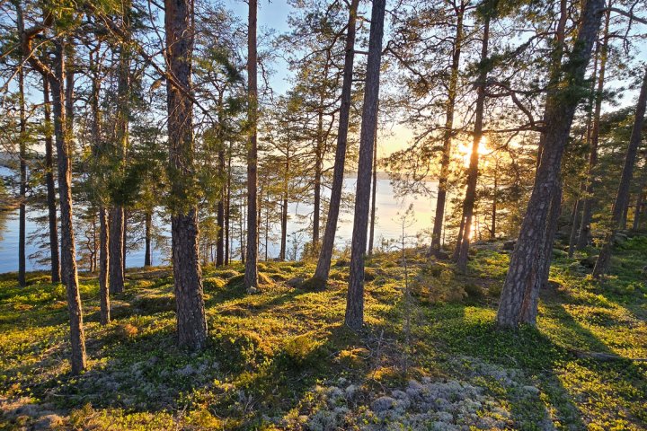 Scandtrack Kanutour Schweden 20240522210131