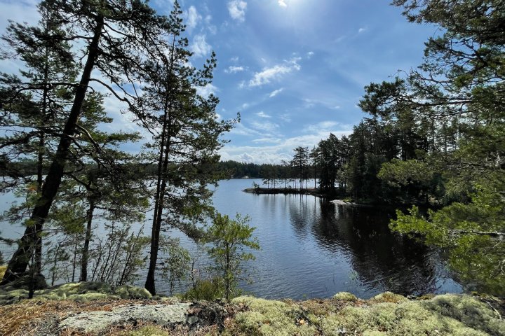 Scandtrack Kanutour Schweden image00013
