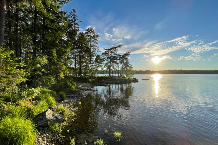 Scandtrack Kanutour Schweden image00042