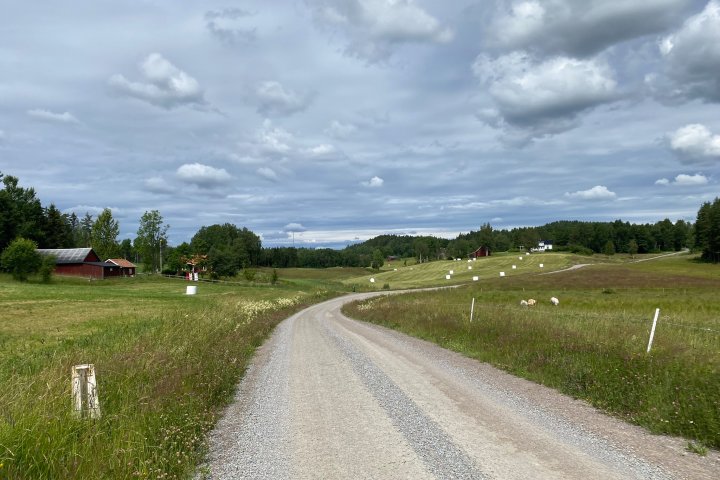 Scandtrack Kanutour Schweden IMG3453