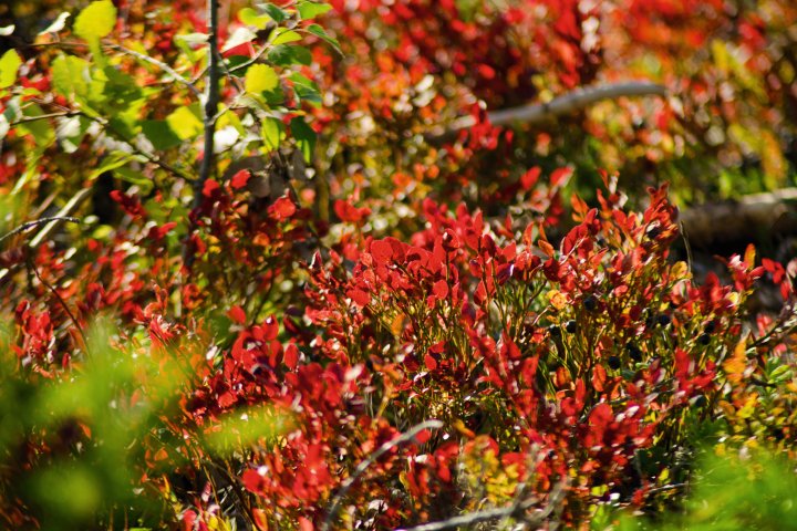 Scandtrack Kanutour Schweden DSC9056