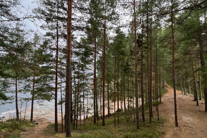 Scandtrack Kanutour Schweden 2024-09-10185549