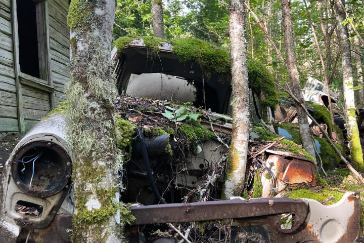 Scandtrack Kanutour Schweden 2024-09-13154725
