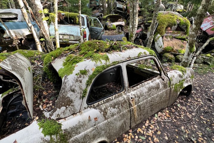 Scandtrack Kanutour Schweden 2024-09-13154802