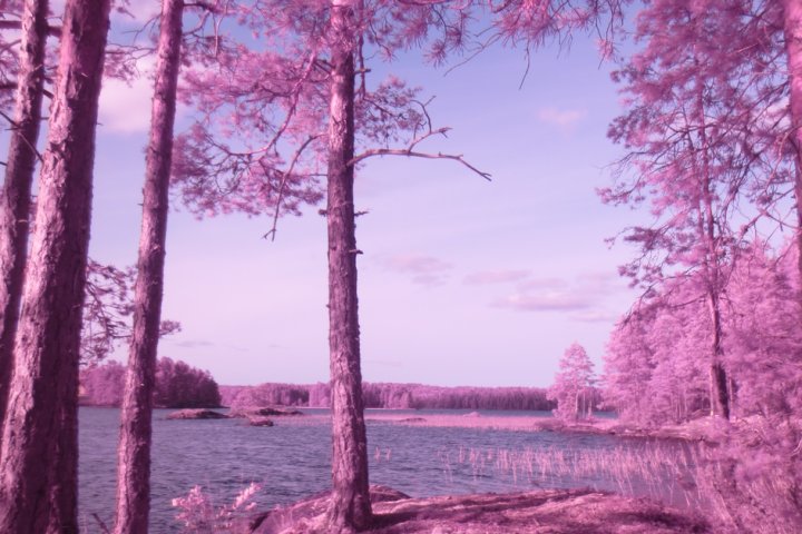 Scandtrack Kanutour Schweden IMG3206