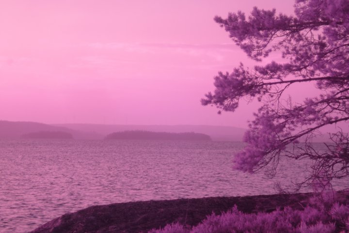 Scandtrack Kanutour Schweden IMG3224