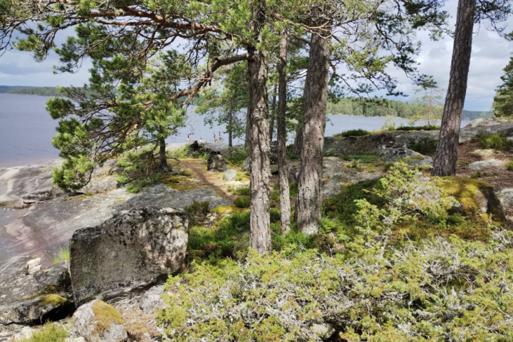 Scandtrack Kanutour Schweden 11