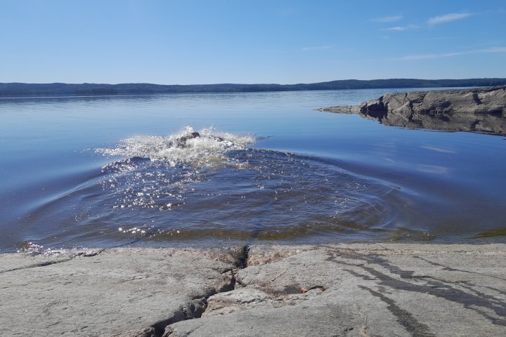 Scandtrack Kanutour Schweden 1000084060jpg
