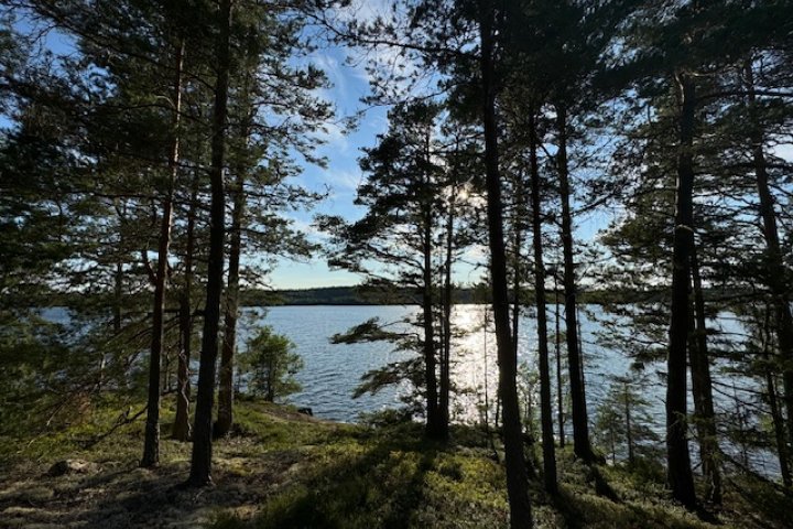 Scandtrack Kanutour Schweden IMG6893jpg