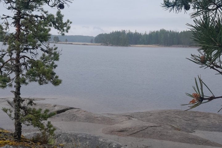 Scandtrack Kanutour Schweden IMG-20250601-WA0040jpeg