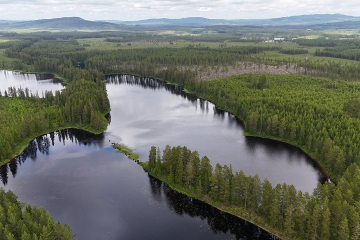 Scandtrack Kanutour Schweden djifly2025061613085200421750882307351photoJPEG