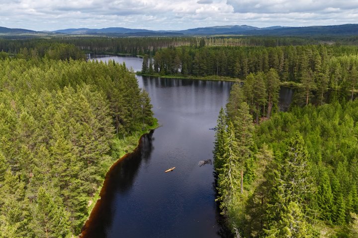 Scandtrack Kanutour Schweden djifly2025061613241600471750882286688photoJPEG