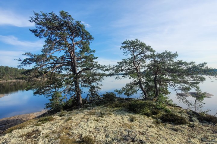 Scandtrack Kanutour Schweden 20250612184737jpg