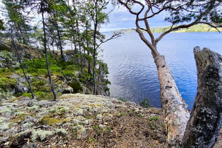 Scandtrack Kanutour Schweden IMG-20250713-WA0042jpg