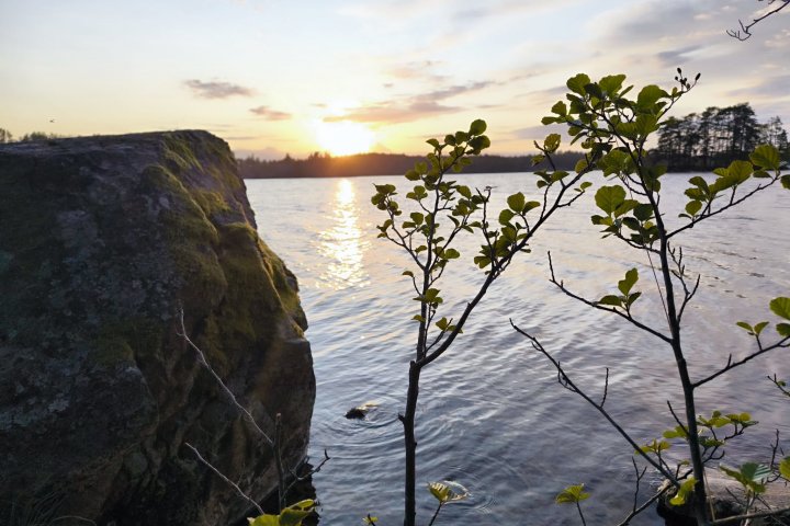 Scandtrack Kanutour Schweden IMG-20250713-WA0047jpg