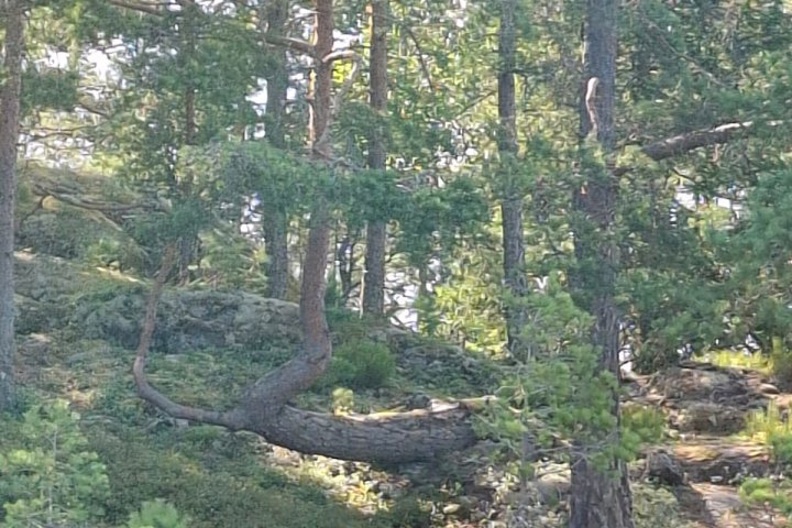 Scandtrack Kanutour Schweden IMG-20250721-WA0020jpg