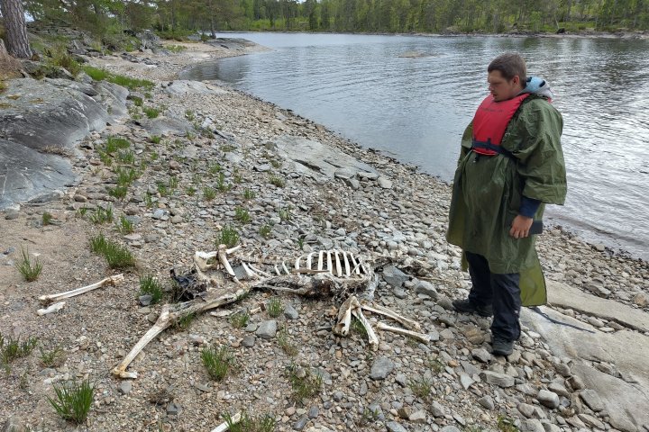 Scandtrack Kanutour Schweden 10jpg