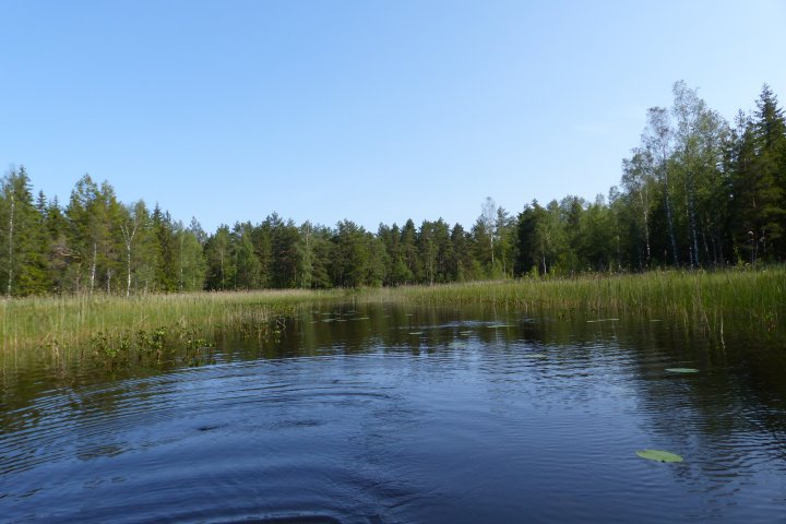 Scandtrack Kanutour Schweden P1020185