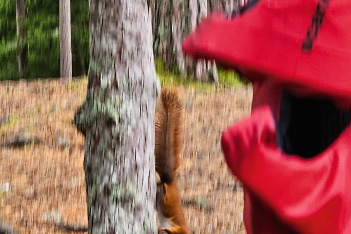 Scandtrack Kanutour Schweden 11jpg