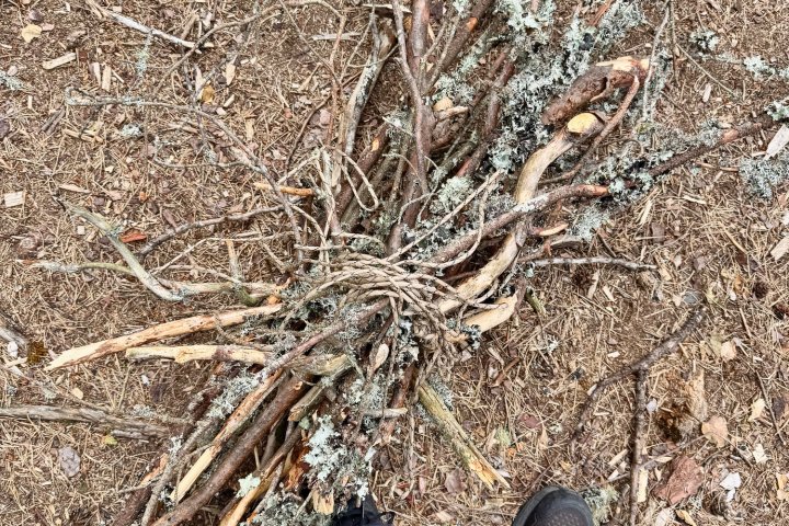 Scandtrack Kanutour Schweden IMG8009jpeg