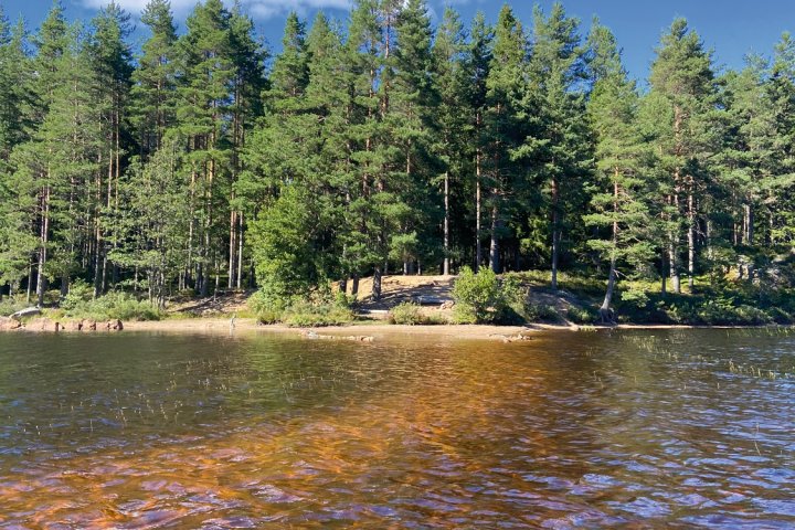 Scandtrack Kanutour Schweden IMG8246