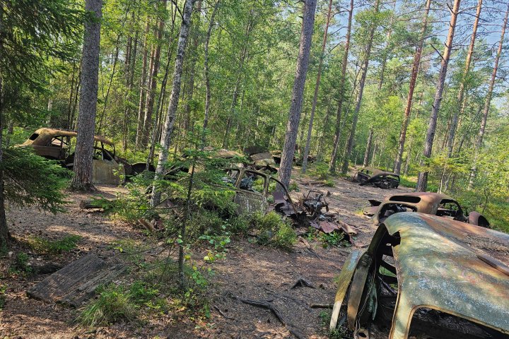 Scandtrack Kanutour Schweden 1000039325