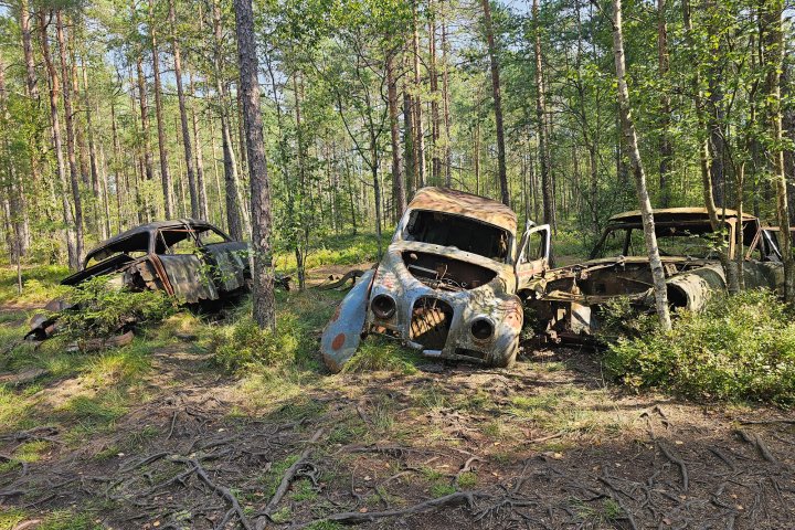 Scandtrack Kanutour Schweden 1000039334