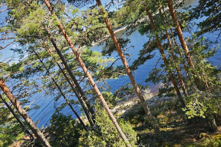 Scandtrack Kanutour Schweden 1000039789
