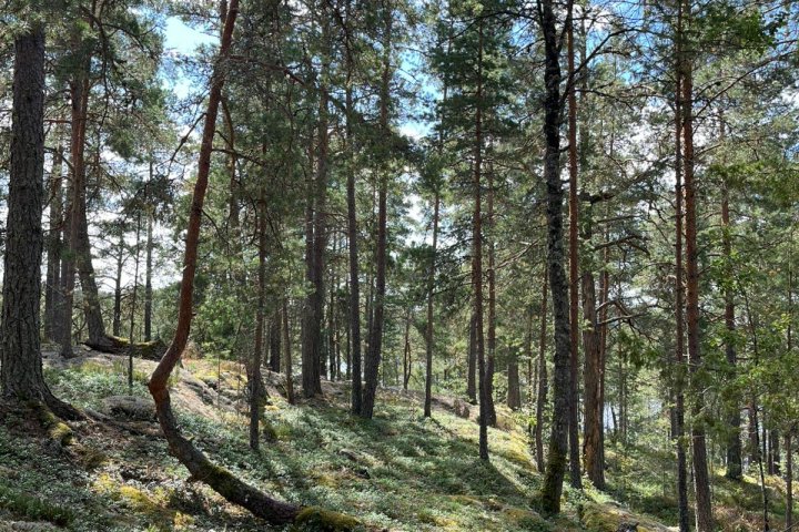 Scandtrack Kanutour Schweden 1000040757