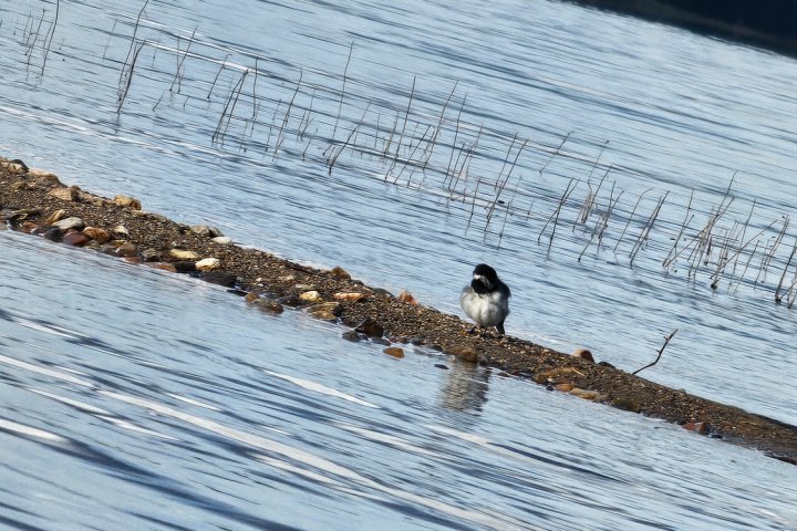 Scandtrack Kanutour Schweden 1000041333